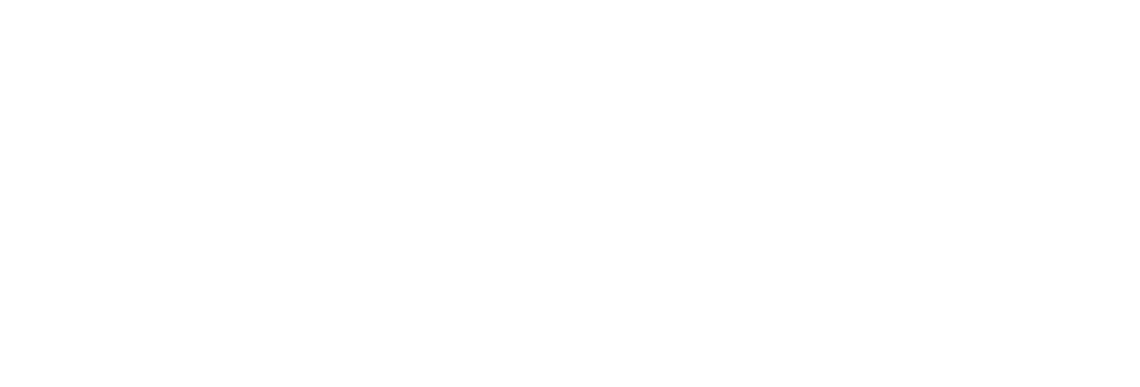 Brazen Radancy Logo hor white