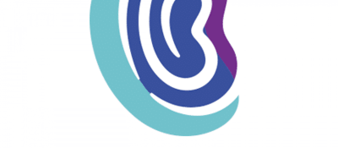 1565348554790_b_110